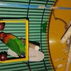 Nuevo en casa mi pequeñin